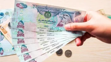 تحديثات الصرف.. سعر الدرهم الإماراتي أمام الجنيه في البنوك المصرية يوم الأربعاء